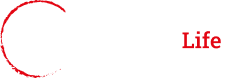 CreditAccess Life Insurance logo